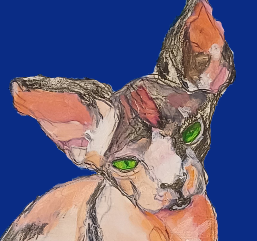 Col·lecció NFT: My bald animal